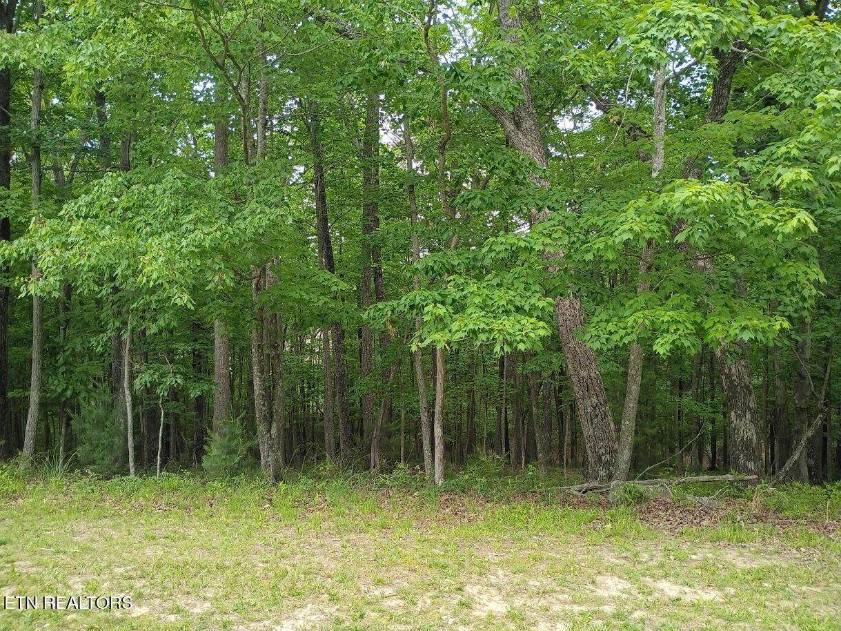 112 Brummel Way - Photo 1