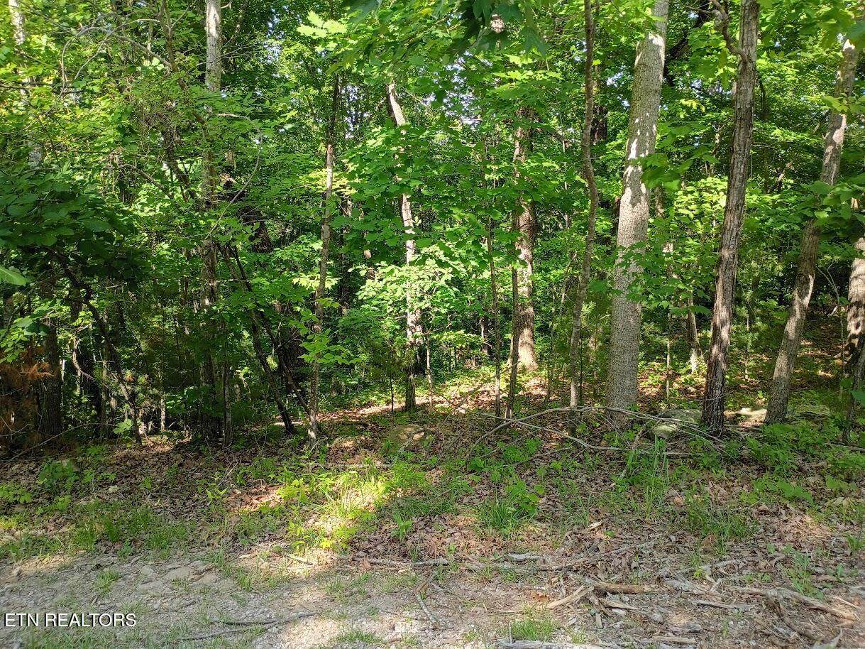 139 Havenridge Circle - Photo 1