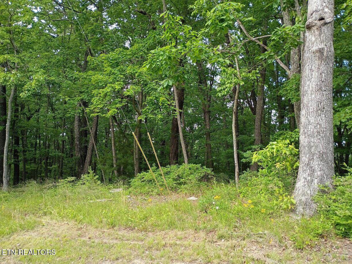 108 Pineridge Loop - Photo 1