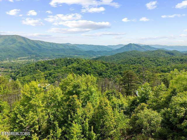  Hatcher Mountain Rd - Photo 1