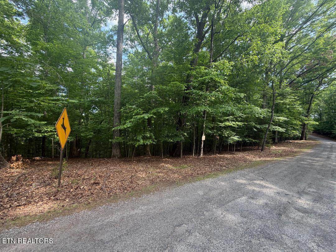  Beechwood Drive - Photo 1