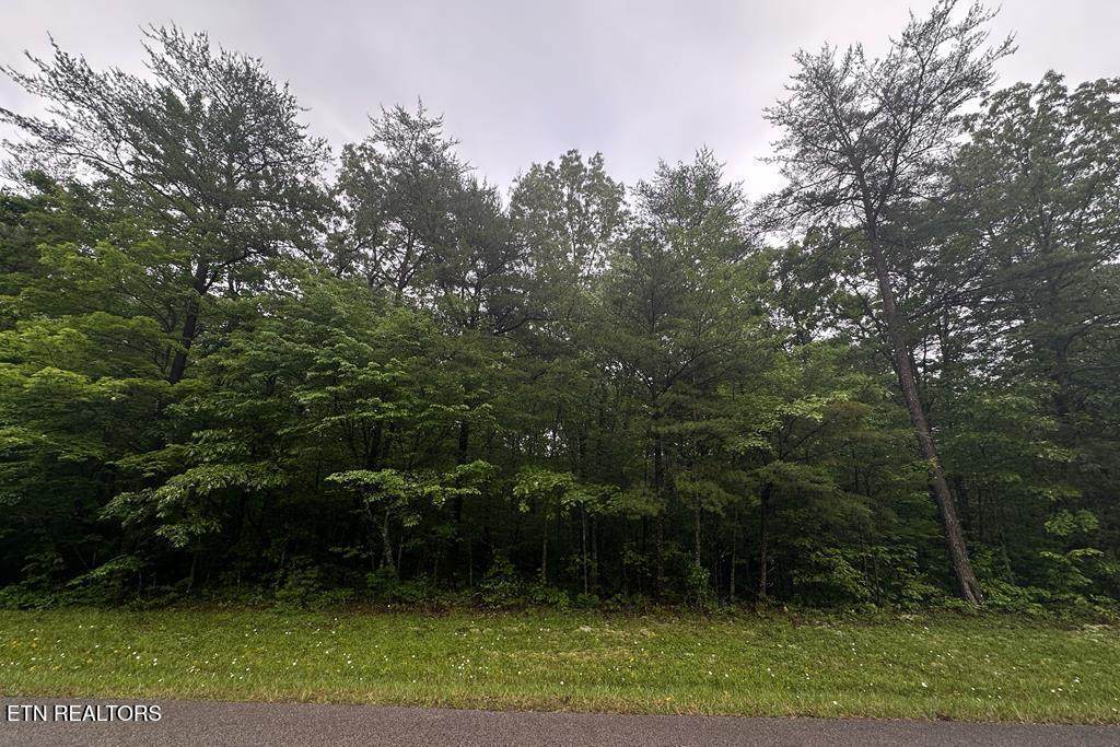 0 Cumberland Lakes Drive - Photo 1