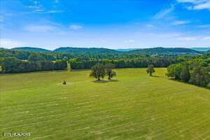 21+/- Acre County Road 675 - Photo 1