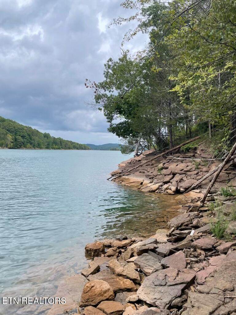 Lot 784 Russell Brothers Rd - Photo 1