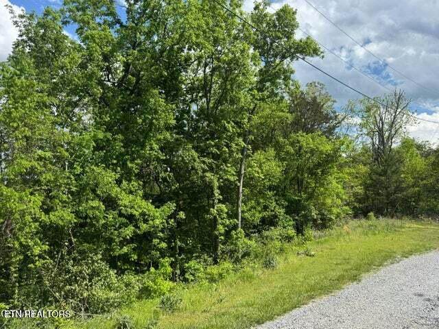  Sugar Cove Way - Photo 1