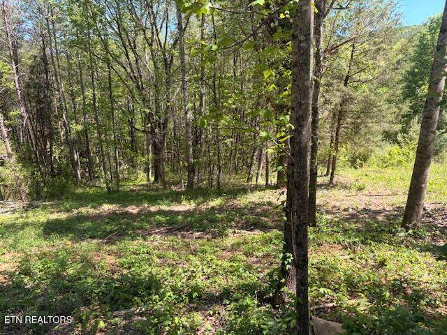 Lot 12 Bivens Court - Photo 1