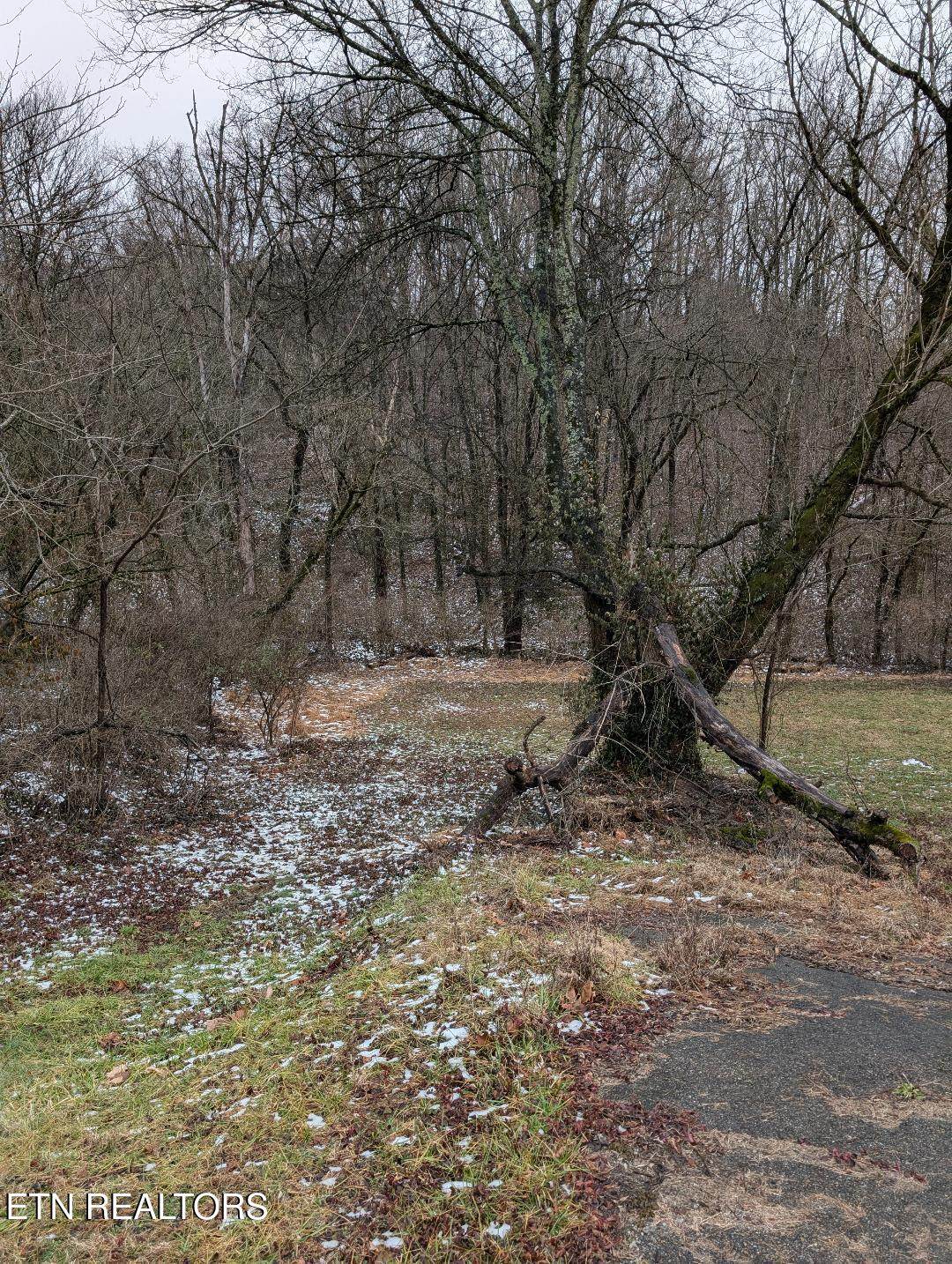 0 Rutledge Pike - Photo 1