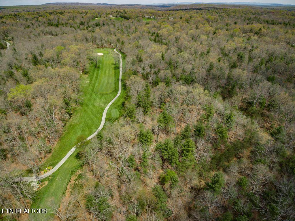 115 Ayrshire Drive - Photo 1