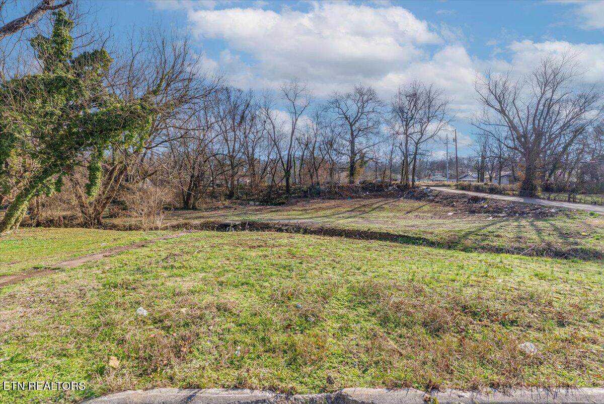 4004 Catalpa Ave - Photo 1