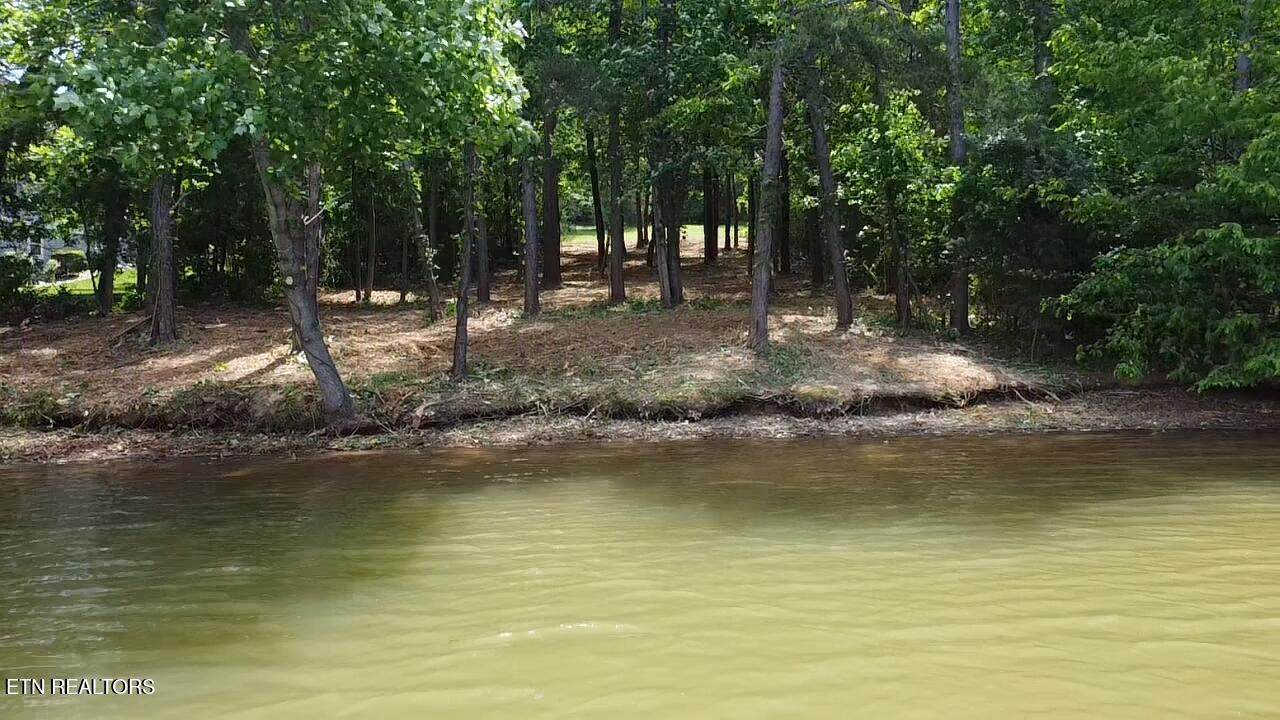 764 Wood Duck Drive - Photo 1
