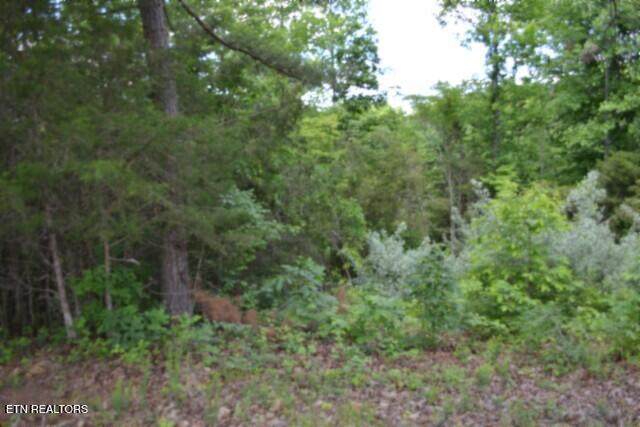 2.75ac Beauchamp Rd - Photo 1