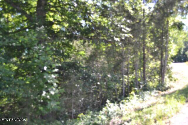 https://bt-photos.global.ssl.fastly.net/kaar/orig_boomver_1_1343662-2.jpg