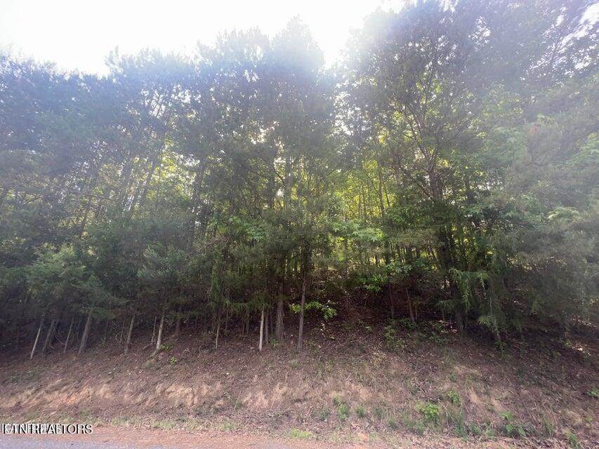 123 Hilty Head Lane - Photo 1