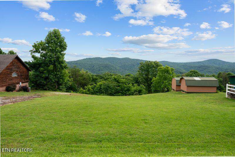 976 Livingston Boat Dock Rd - Photo 1