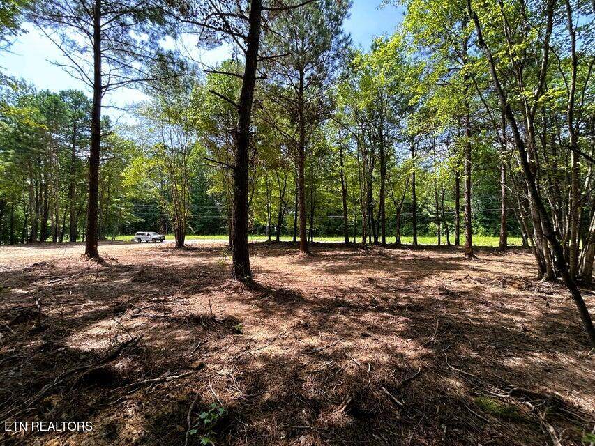 34 acres State Highway 304 - Photo 1
