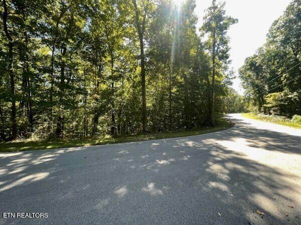 0 Coves Point Rd - Photo 1