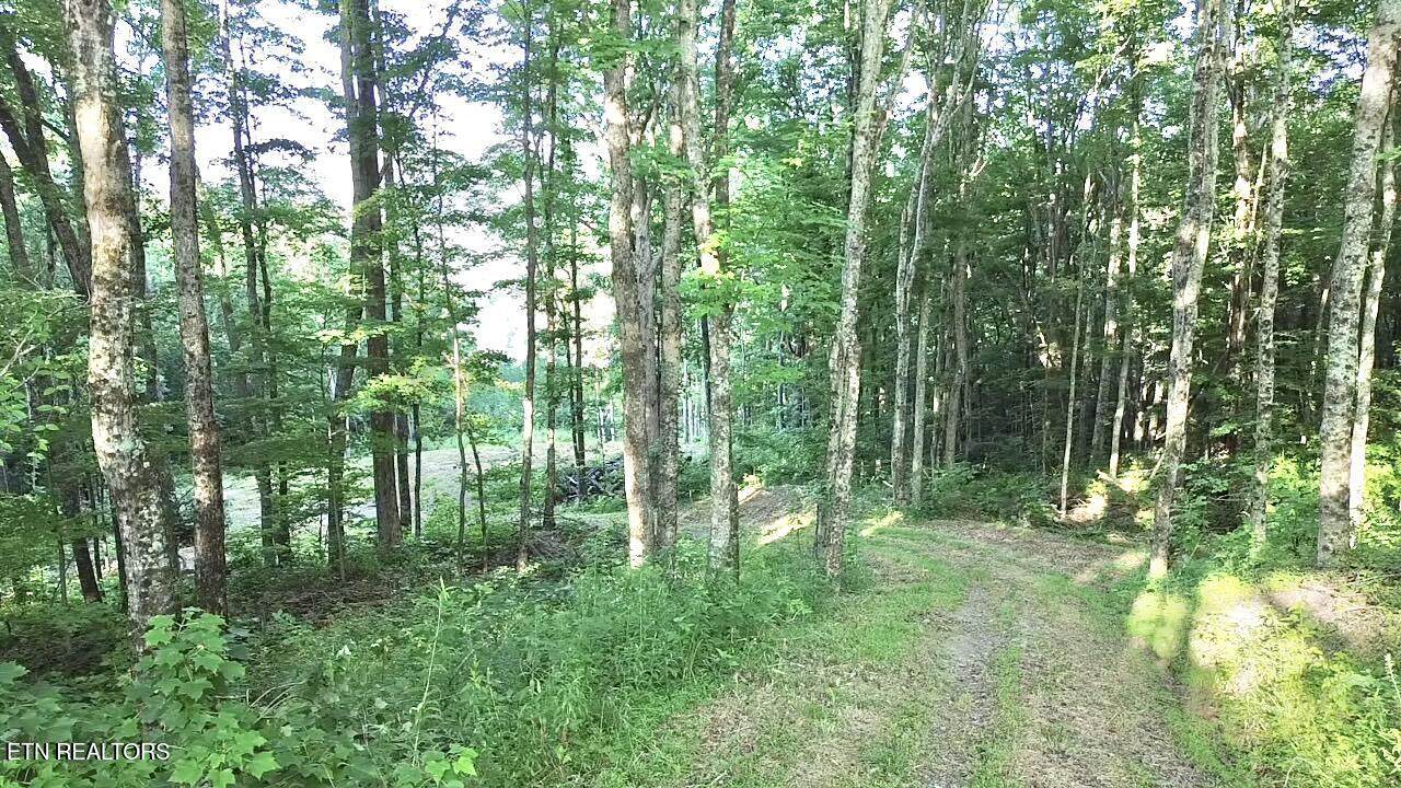 183 Persimmon Lane - Photo 1