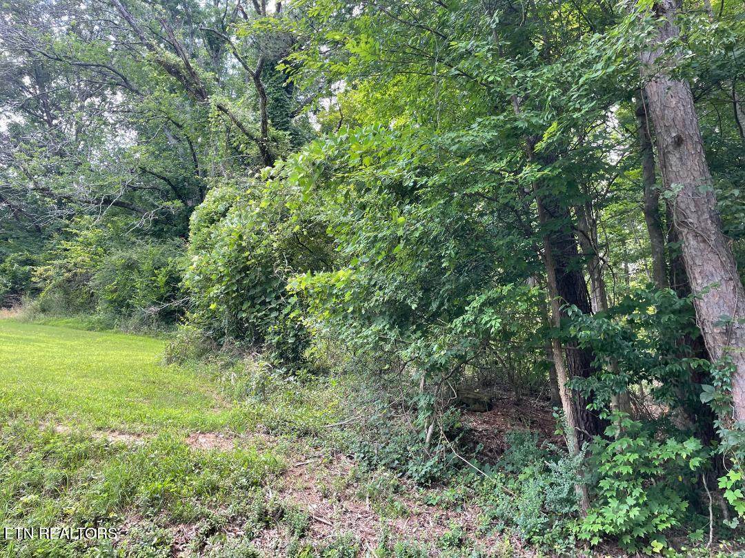 64 Riddle St - Photo 1