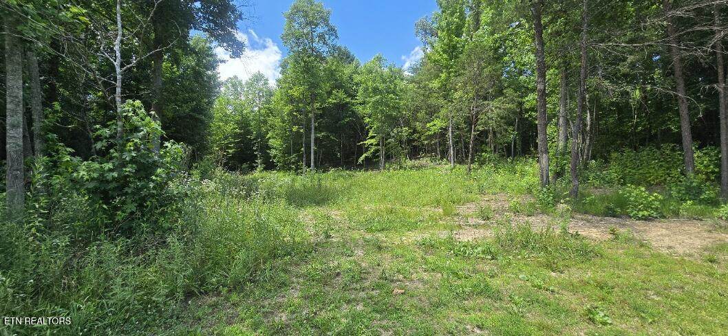 925 Anderson Hollow Rd - Photo 1