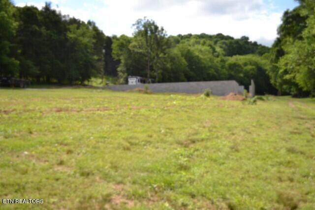 425 Baugh Hollow Lane - Photo 1