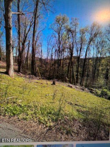 Esslinger Dr & Low Gap Rd - Photo 1