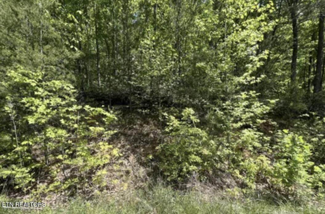 Lot 81 Yellowwood Drive - Photo 1