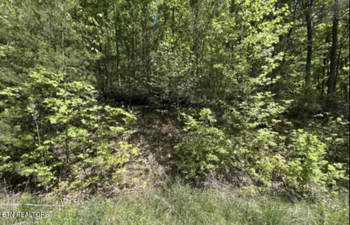 Lot 22 Green Meadows Dr - Photo 1