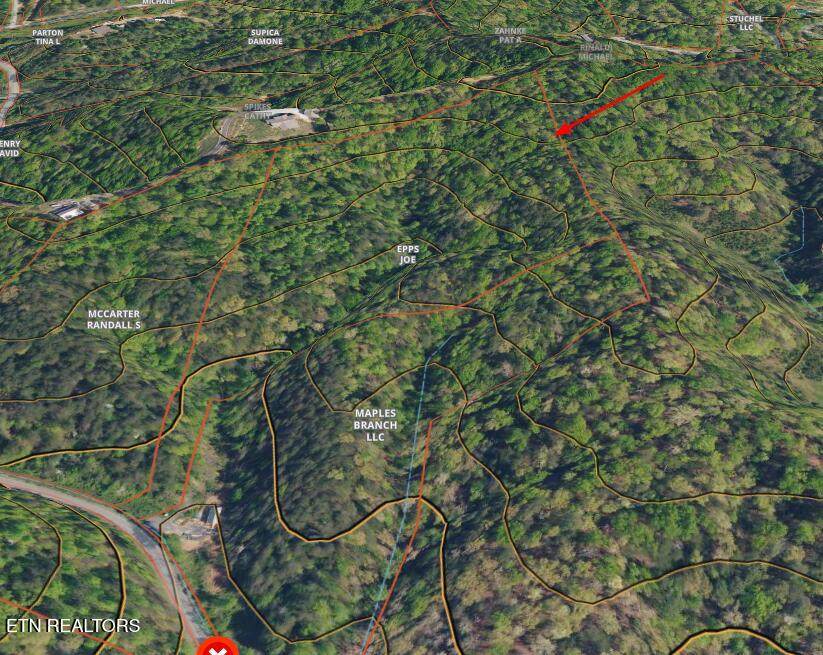  Maples Branch Rd - Photo 1