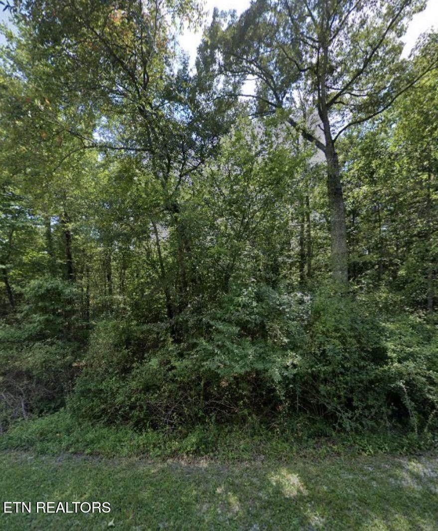 6310 Osage Rd - Photo 1