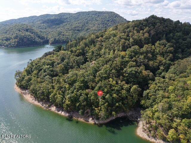 Lot 875 Clearwater Rd - Photo 1