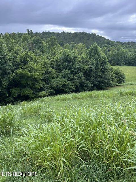  Mill Drive - Photo 1