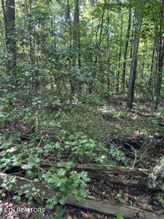 850 Lick Hollow Drive - Photo 1