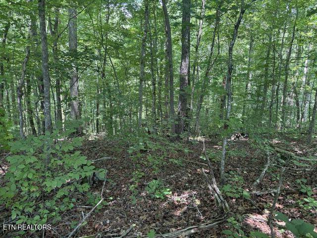 Lot 4 Hackworth Rd - Photo 1