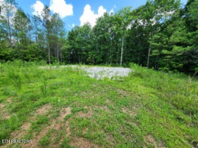 674 Rhodas Way - Photo 1