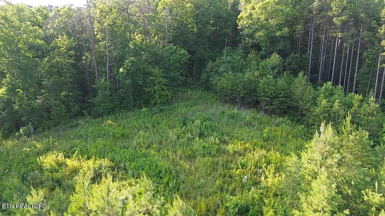 Lot 35 Winding Tr - Photo 1