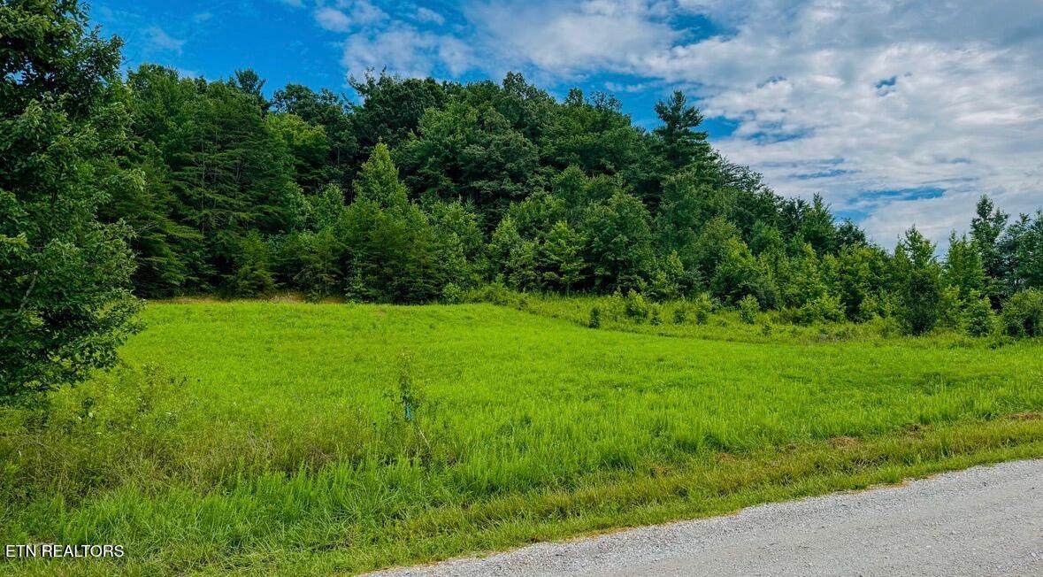  Clay Boyatt Rd - Photo 1