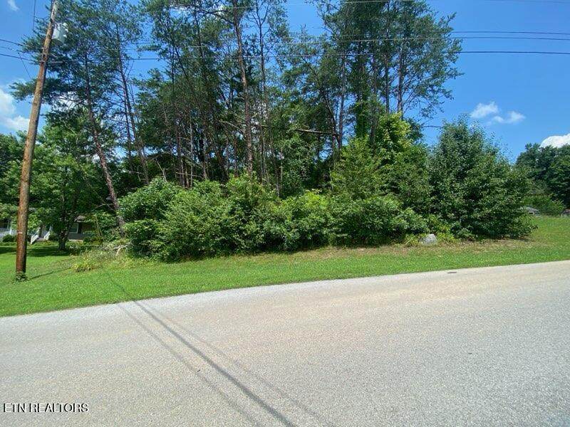 Lot 6 Scenic View Drive - Photo 1