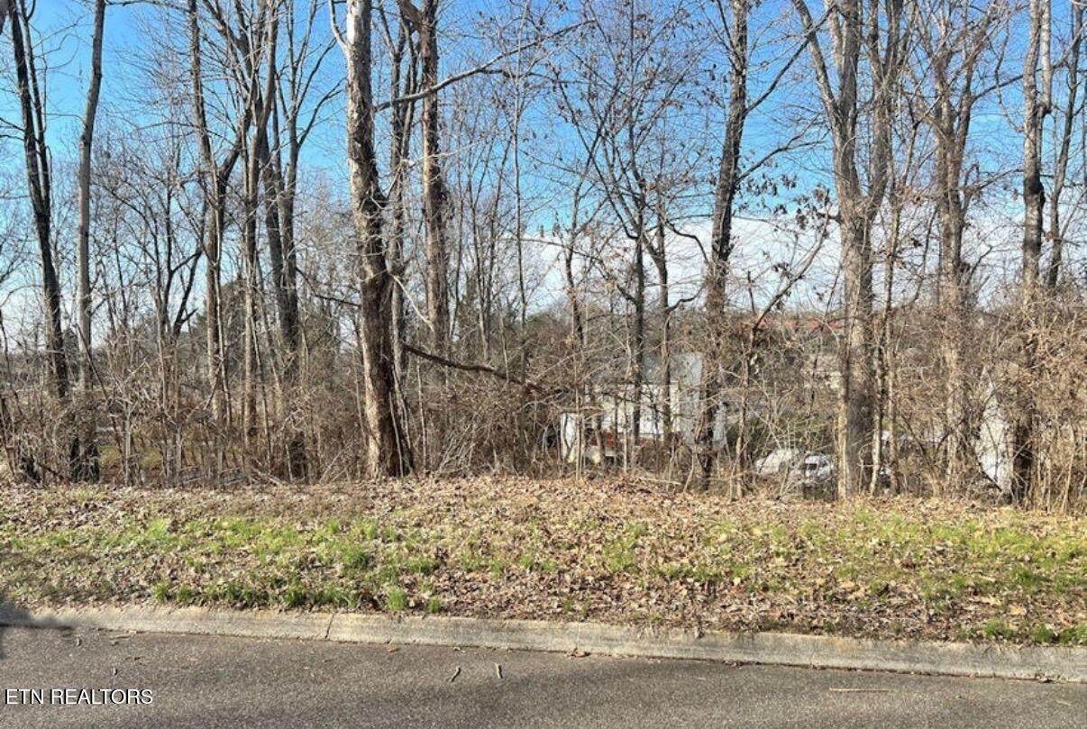 6024 Tennyson Drive - Photo 1