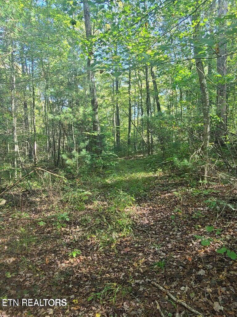  Hannah Davidson Rd - Photo 1