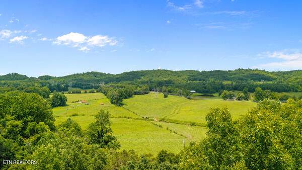 1913 Dry Fork Valley Rd - Photo 1