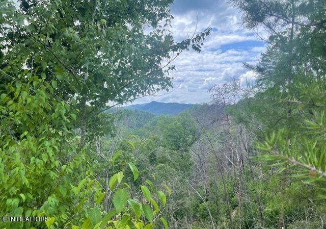  Lot 4 River Birch Way - Photo 1