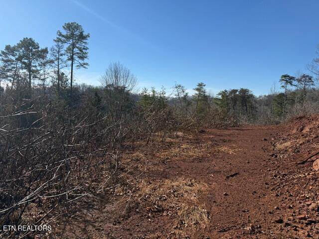  Sweetwater Vonore Rd - Photo 1