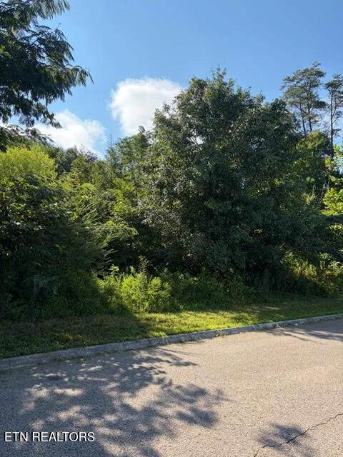 7659 Pennyroyal Drive - Photo 1