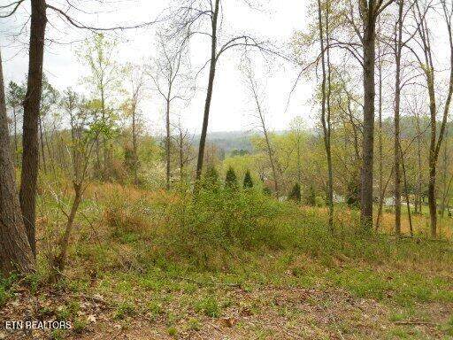  Vann Drive - Photo 1