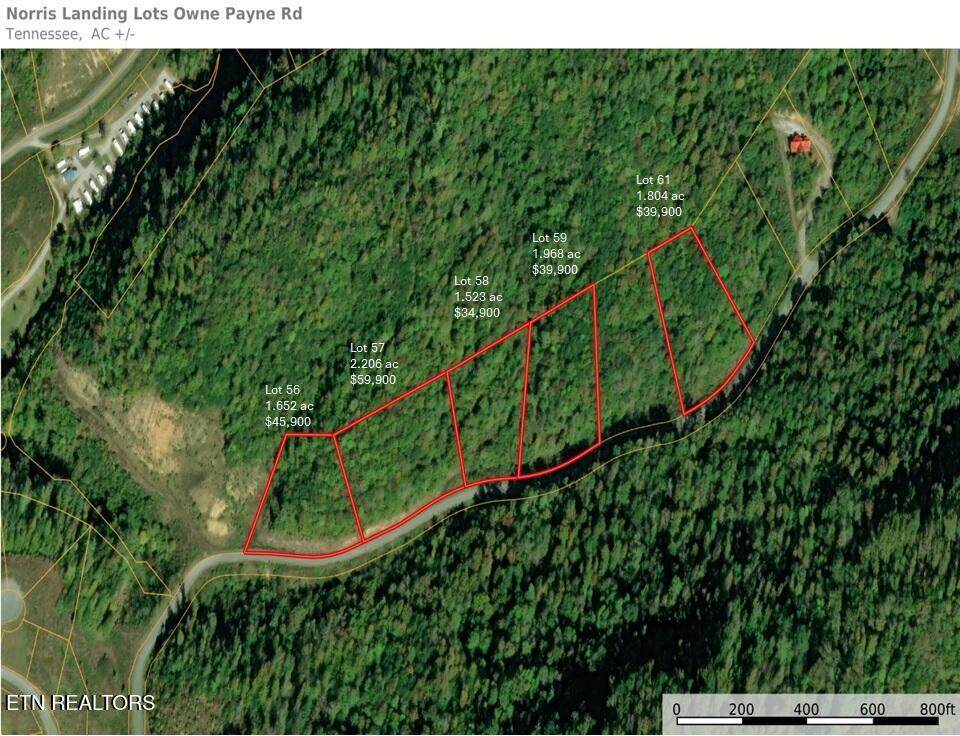 Lot 56 Owen Payne Rd - Photo 1