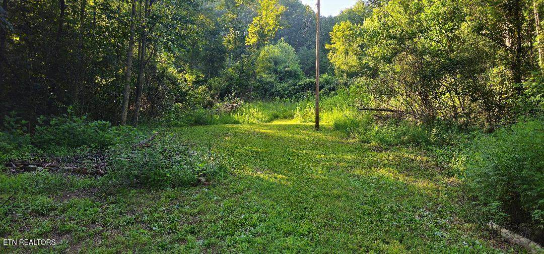 6504 Highway 66 - Photo 1