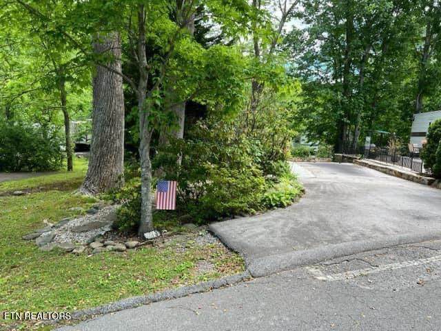4224 E Parkway Pkwy - Photo 1