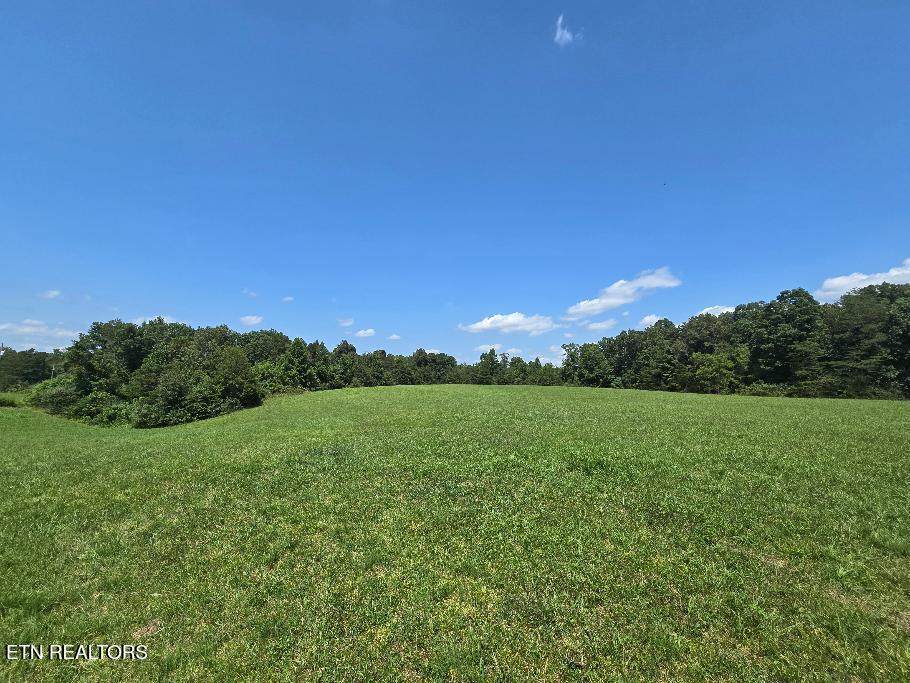  Al Martin Rd - Photo 1