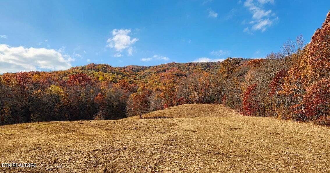 10414 Petros Hwy - Photo 1