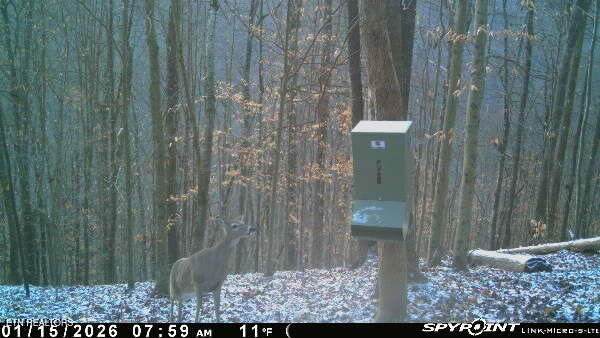 1465 King Bend Rd - Photo 1